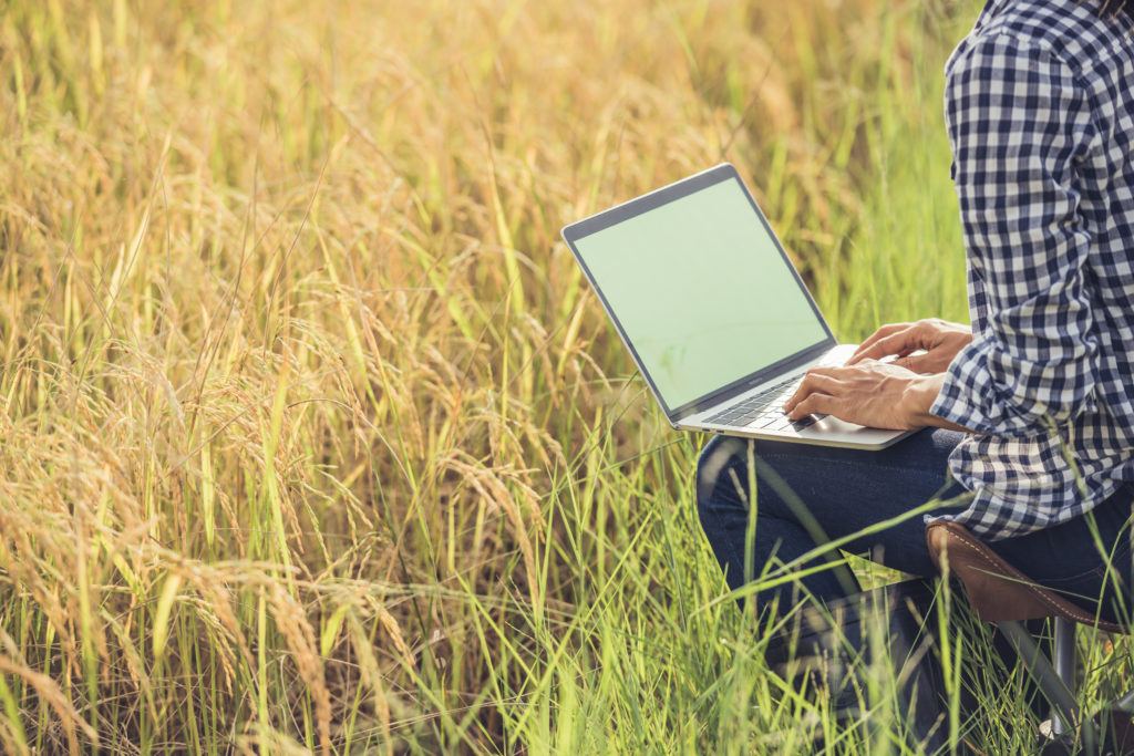 A person using laptop in the farm